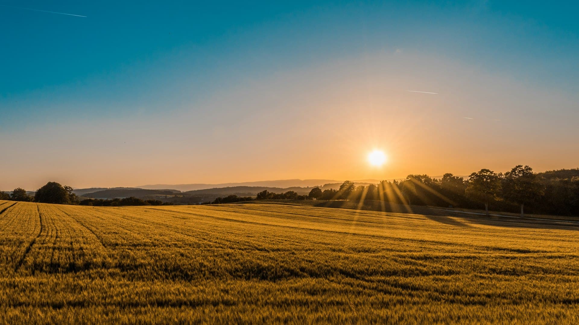 Sunrise over open farmland in Mono, Ontario